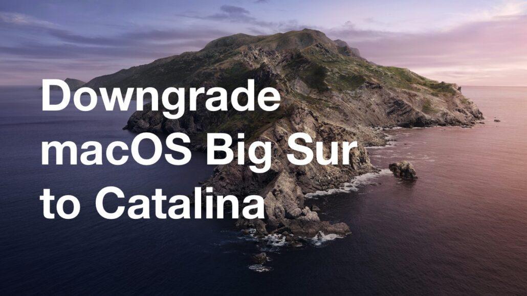 将macOS Big Sur Beta降级到macOS Catalina [操作方法]