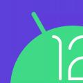 Android 12 Beta 3 转换自动旋转