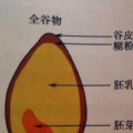 蚂蚁庄园今天小鸡考你问答 大米面粉等粮食是颜色越白越好吗