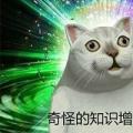 科技资讯:你要偷偷怀孕然后惊艳所有人是什么梗