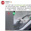司机开车时边撸狗边看书 神似自动驾驶