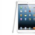 你对科普购买iPad mini攻略和iPad Mini平板的感受？