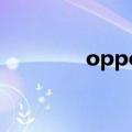 oppofindx3pro（OPPO）