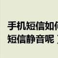 手机短信如何设置成静音（安卓手机怎么设置短信静音呢）