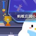 今天小鸡宝宝就来考考你的答案:家里用的木筷子怎么消毒？今天的答案是最新的57