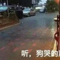 2022年02月01日整理发布：七夕单身狗发的搞笑朋友圈文案
