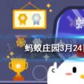 2022年02月03日整理发布：郁金香适合养在室内吗