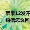 苹果12发不出短信怎么回事（苹果6S发不出短信怎么回事）
