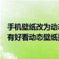 手机壁纸改为动态壁纸（我的手机想换屏幕动态壁纸！大家有好看动态壁纸推荐一下吗）