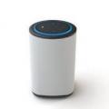 通过Vaux把亚马逊Echo Dot变成无绳增强音箱