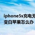iphone5s充电无限重启白苹果（iPhone5S充电时自动关机变白苹果怎么办）