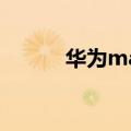 华为mate 40pro（华为Mate）