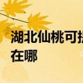 湖北仙桃可提供奥克斯中央空调维修服务地址在哪