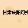 甘肃庆阳可提供松下冰箱维修服务地址在哪