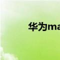 华为matepadpro（华为Mate）