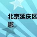 北京延庆区可提供SKG冰箱维修服务地址在哪