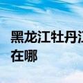 黑龙江牡丹江可提供海尔壁挂炉维修服务地址在哪