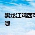 黑龙江鸡西可提供三洋洗衣机维修服务地址在哪