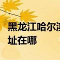 黑龙江哈尔滨可提供小松鼠壁挂炉维修服务地址在哪