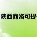 陕西商洛可提供伯爵壁挂炉维修服务地址在哪