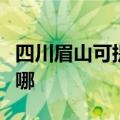 四川眉山可提供小松鼠壁挂炉维修服务地址在哪