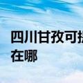 四川甘孜可提供伊莱克斯洗碗机维修服务地址在哪