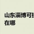 山东淄博可提供伊莱克斯洗碗机维修服务地址在哪