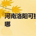 河南洛阳可提供德贝得壁挂炉维修服务地址在哪