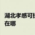 湖北孝感可提供港华紫荆壁挂炉维修服务地址在哪