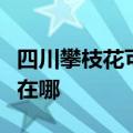 四川攀枝花可提供惠而浦洗碗机维修服务地址在哪
