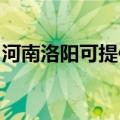 河南洛阳可提供瑞能壁挂炉维修服务地址在哪