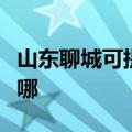 山东聊城可提供万家乐洗碗机维修服务地址在哪