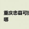 重庆忠县可提供贝雷塔壁挂炉维修服务地址在哪