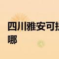 四川雅安可提供洗碗婆洗碗机维修服务地址在哪