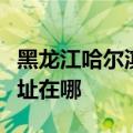 黑龙江哈尔滨可提供福玛特清洁机维修服务地址在哪