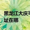 黑龙江大庆可提供港华紫荆壁挂炉维修服务地址在哪