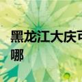 黑龙江大庆可提供东芝洗碗机维修服务地址在哪