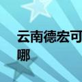 云南德宏可提供SKG吸尘器维修服务地址在哪