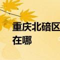 重庆北碚区可提供SKG吸尘器维修服务地址在哪