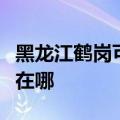 黑龙江鹤岗可提供苏泊尔吸尘器维修服务地址在哪