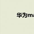华为matepad 11（华为Mate）