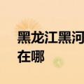 黑龙江黑河可提供SKG吸尘器维修服务地址在哪