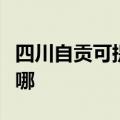 四川自贡可提供苏泊尔吸尘器维修服务地址在哪