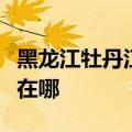 黑龙江牡丹江可提供方太微波炉维修服务地址在哪