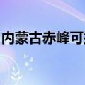 内蒙古赤峰可提供奥普浴霸维修服务地址在哪