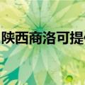 陕西商洛可提供灿坤微波炉维修服务地址在哪