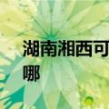 湖南湘西可提供SKG微波炉维修服务地址在哪