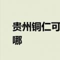 贵州铜仁可提供SKG微波炉维修服务地址在哪