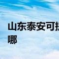 山东泰安可提供华帝抽油烟机维修服务地址在哪