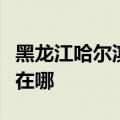 黑龙江哈尔滨可提供海尔电磁炉维修服务地址在哪